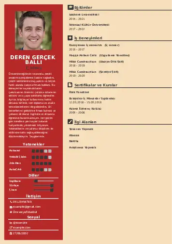 cv indir